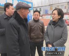 副市长冯玉梅到西平县调研基层文化站建设工作
