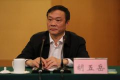 快讯！胡五岳当选许昌市市长
