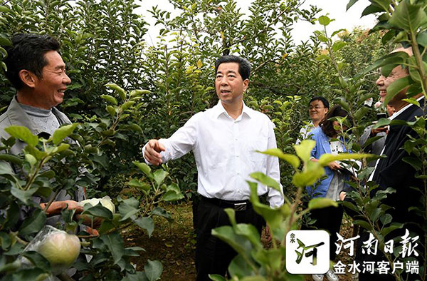 陈润儿:推进生态功能建设 打造宜居乐业环境