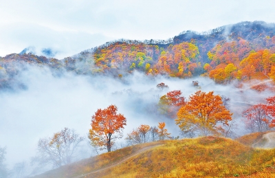 王屋景色美如画 霜叶红于二月花（图）