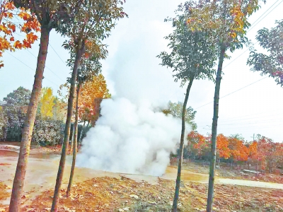 郑州一生态廊道地下热力管道爆管 四周绿植被“烧死”