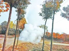 郑州一生态廊道地下热力管道爆管 四周绿植被“烧死”