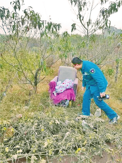 男婴被弃郑州一处荒草丛 被发现时已全身冰凉