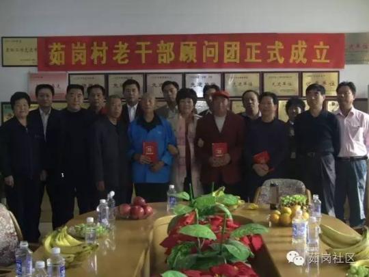 【基层党代表履职】张春兰：用网站传播党的好声音
