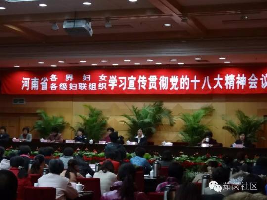 【基层党代表履职】张春兰：用网站传播党的好声音