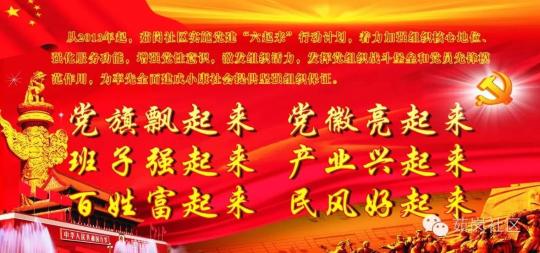 【基层党代表履职】张春兰：用网站传播党的好声音