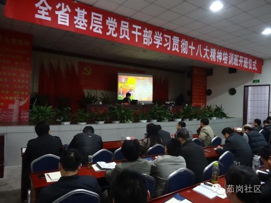 【基层党代表履职】张春兰：用网站传播党的好声音
