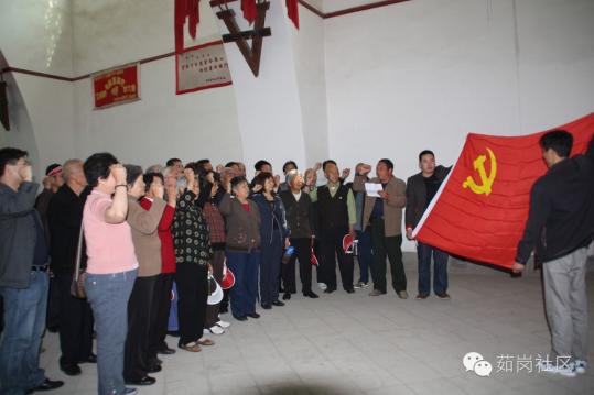 【基层党代表履职】张春兰：用网站传播党的好声音