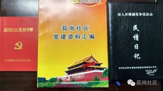 【基层党代表履职】张春兰：用网站传播党的好声音