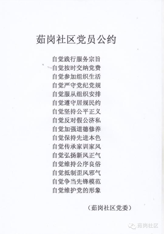 【基层党代表履职】张春兰：用网站传播党的好声音