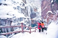 云台山上“过雪瘾”（图）