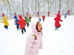 暴雪预警响应 郑州中小学和幼儿园停课一天