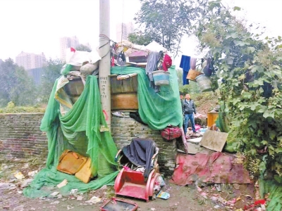 老人住墓地窝棚引关注 网友助力他在郑州有了工作