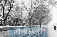 郑州地铁2号线二期即将开工 4000余株乔木要“搬家”