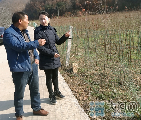 豫西深山处刮起致富风：驻村扶贫检察干警成长记