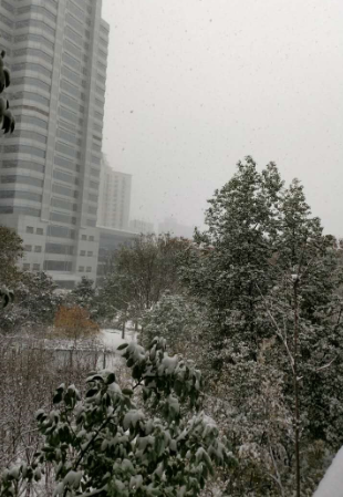 河南昨夜今晨降雪最高达6厘米 “功劳”有人工一半