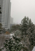 河南昨夜今晨降雪最高达6厘米 “功劳”有人工一半
