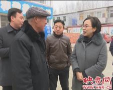 副市长冯玉梅赴西平县调研基层文化站建设工作