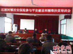 确山县石滚河镇扎实开展治安保险保平安活动