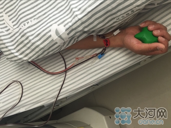 郑州市民为白血病患者捐“生命种子”一人捐献全家荣耀