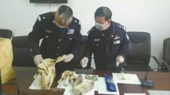 罗布泊现疑似50多年前地质工作者遗骸 携洛阳日报