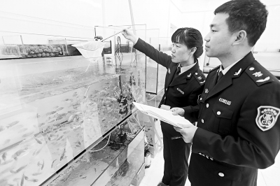 河南首次进口热带观赏水生动物 3600条泰国热带鱼搭飞机来郑