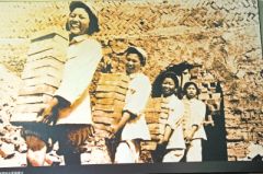 6万中原儿女进疆屯垦戍边60年 天山南北荒漠变良田