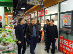 民建河南省委专职副主委晓林到大华城参观