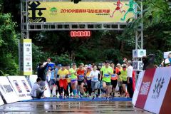 中国森林马拉松海南站圆满落幕