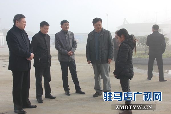 市县领导与贫困户许爱平交谈.JPG