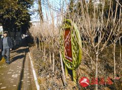 市民赏樱花有了新去处