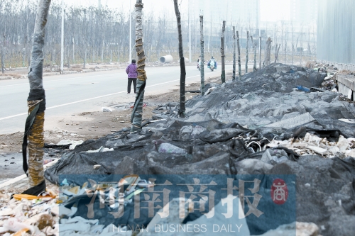 郑州鸿运路部分路段两侧行道树被垃圾“淹死”了