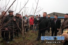 合作社请来专家教果农冬管技术