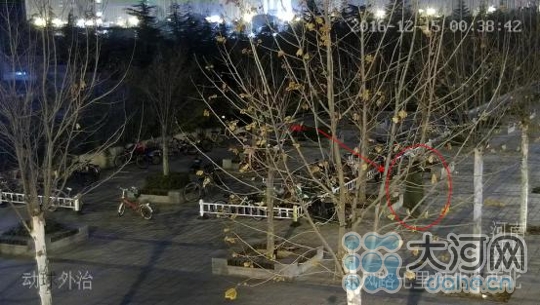 监守自盗 郑州一停车场管理员凌晨“变身”偷车贼