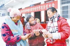 贫困户喜领合作社分红