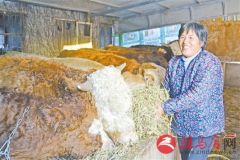 扶贫扶出养殖大户