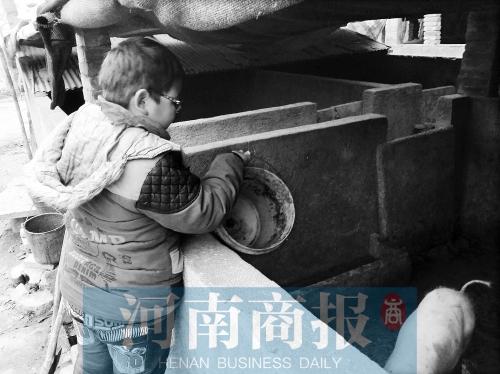 荥阳11岁男孩：害怕有网络作业，俺家没有电脑