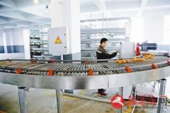 金凤牧业加强国际合作
