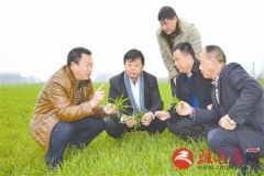 送农技到田间