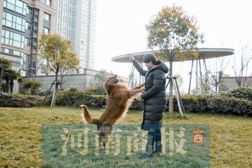 做SPA美容拍写真集 这些萌宠被主人宠“上天”