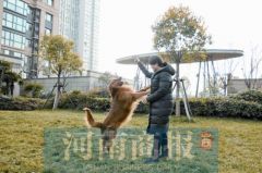 做SPA美容拍写真集 这些萌宠被主人宠“上天”