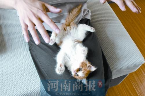 做SPA美容拍写真集 这些萌宠被主人宠“上天”