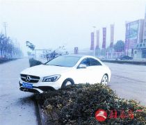 奔驰车冲上绿化带