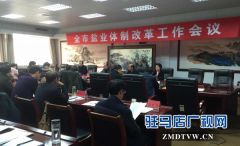 杜中强：推进盐业体制改革稳步有序进行
