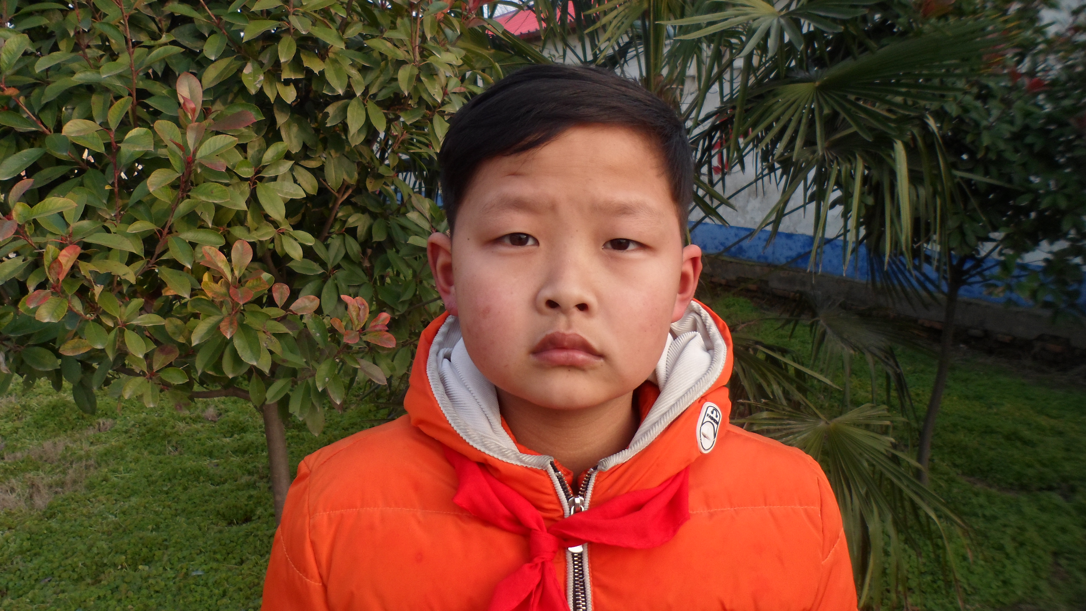汝南县梁祝镇张庄小学郑博涵.JPG