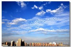 因为这件事，郑州市两区被罚款100万！是你们区吗？