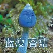 厉害了boy！5岁女孩落水6岁男孩冷静救援 蜀黍为其申报见义勇为
