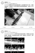 河南考古研究院微博直播发掘现场 引发百万网友关注