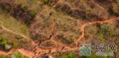 登封4岁少林武院学徒走丢 警方动用无人机最终找到