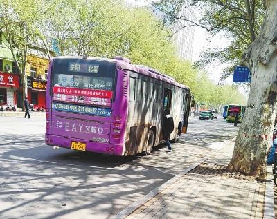 安阳汽车客运市场乱局待解追踪：市场乱象依旧